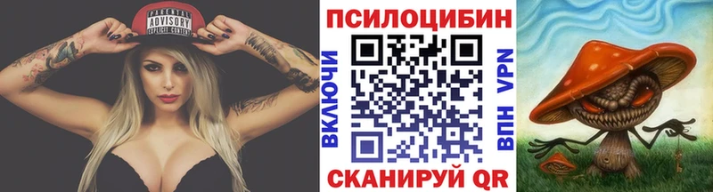 Псилоцибиновые грибы Cubensis  где продают   Котовск 